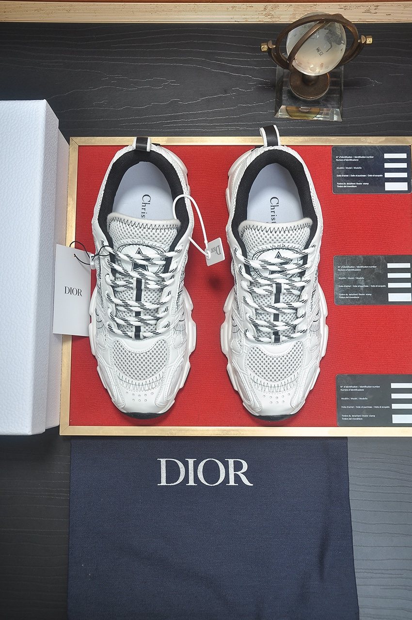 Dior Silver, White & Black Low-Top Sneakers — front