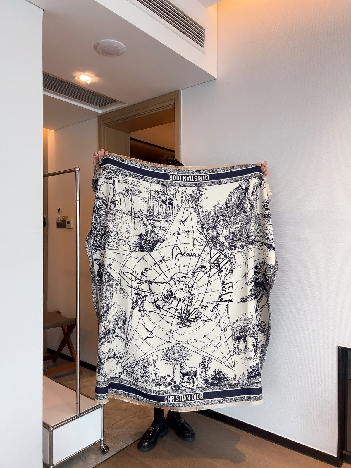 Dior Scenic Print Shawl — front
