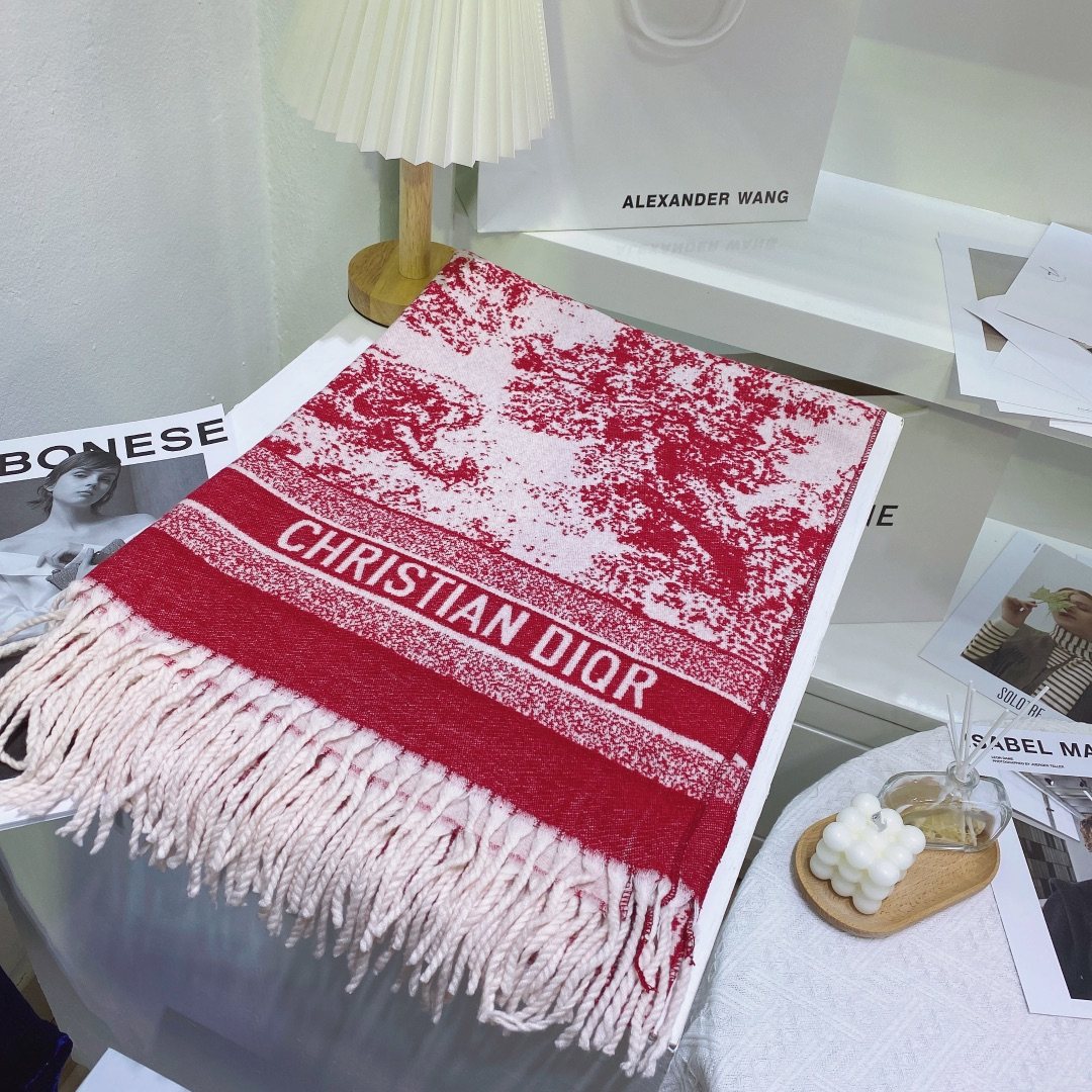 Dior Toile Print Fringed Scarf — front