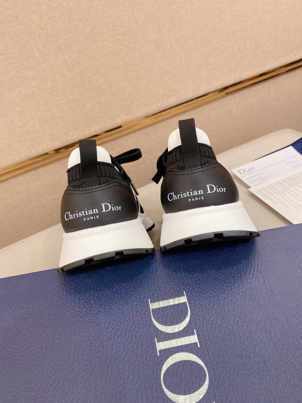 Dior B30 Mesh Sneakers — back
