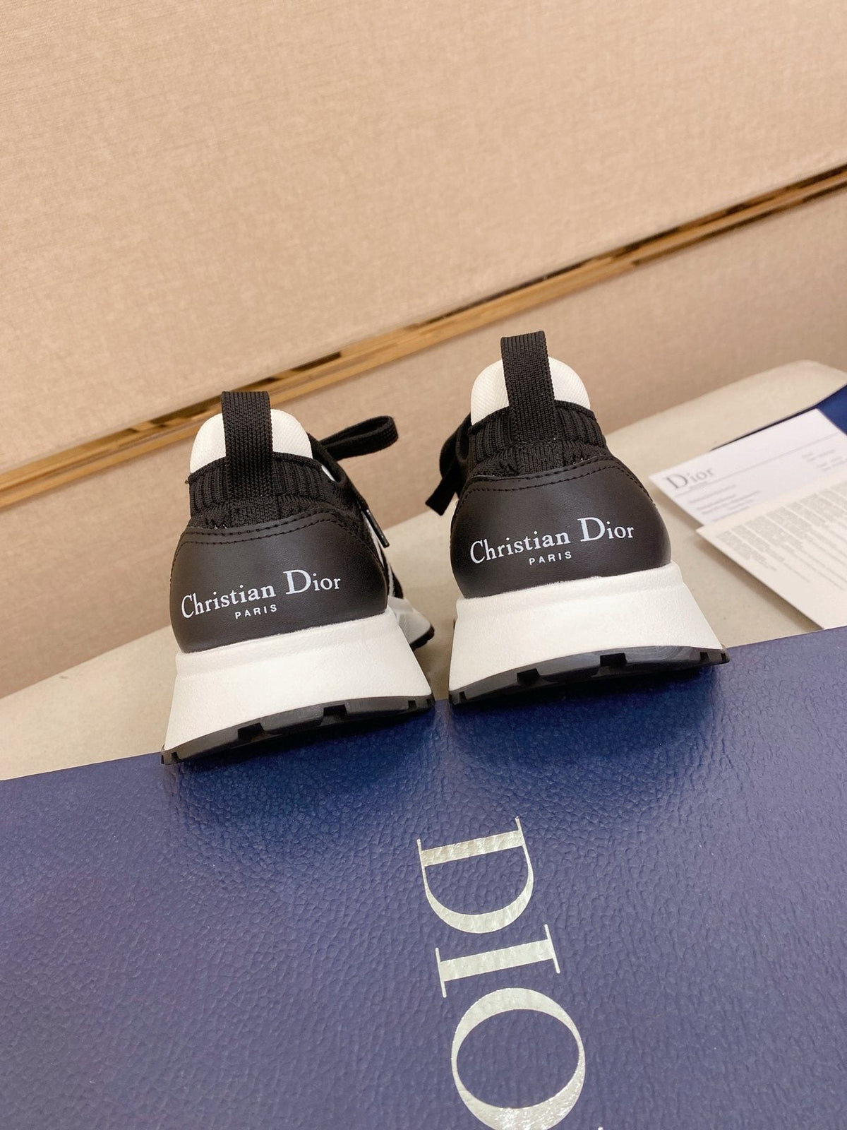 Dior B30 Mesh Sneakers — back