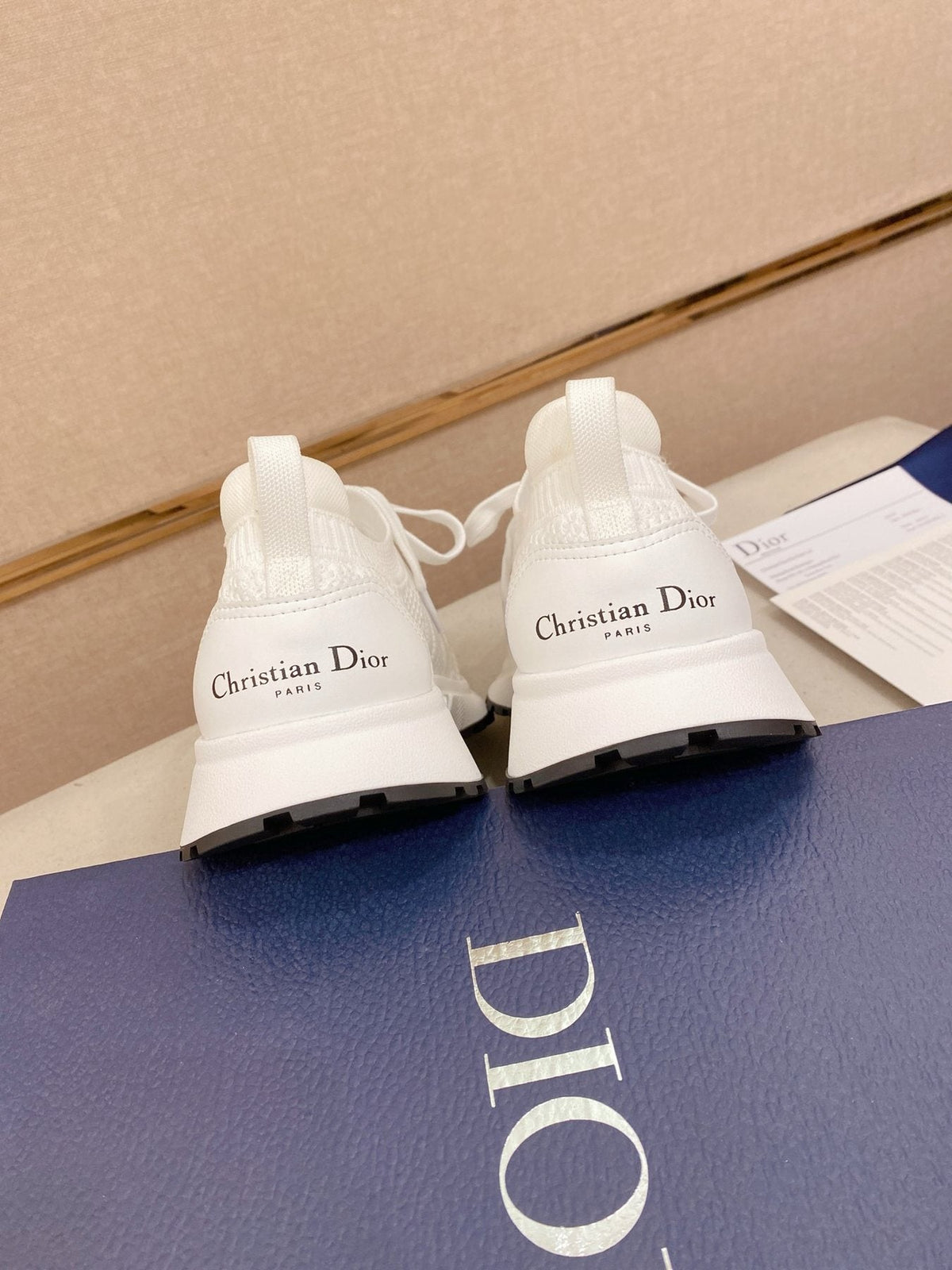 Dior B30 Mesh Sneakers — back