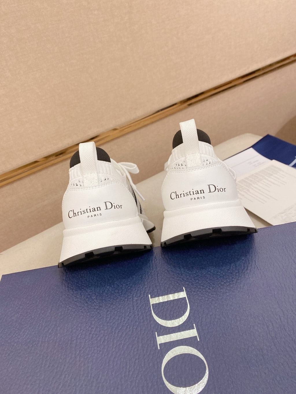 Dior B30 Mesh Sneakers — back